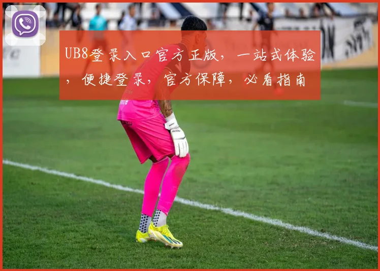 UB8登录入口官方正版，一站式体验，便捷登录，官方保障，必看指南