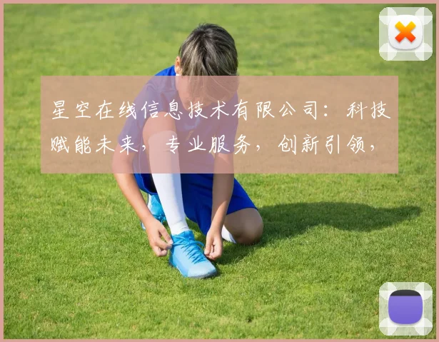 星空在线信息技术有限公司：科技赋能未来，专业服务，创新引领，共赢发展，三剑客共筑梦想。