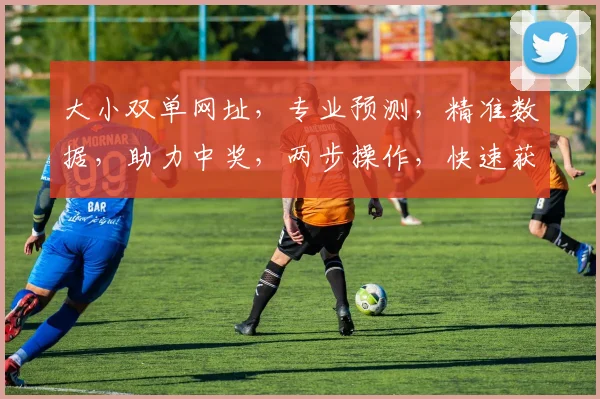 大小双单网址，专业预测，精准数据，助力中奖，两步操作，快速获取