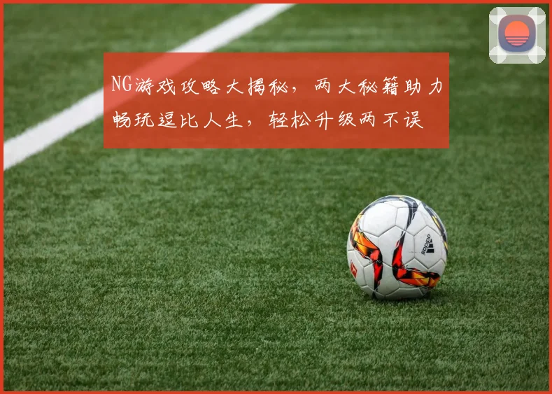 NG游戏攻略大揭秘，两大秘籍助力畅玩逗比人生，轻松升级两不误
