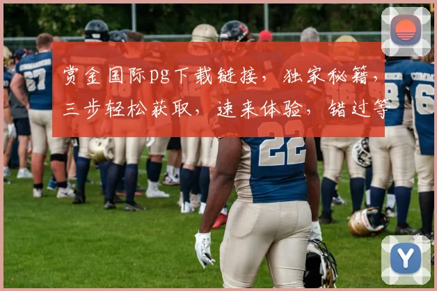 赏金国际pg下载链接，独家秘籍，三步轻松获取，速来体验，错过等一年，必看